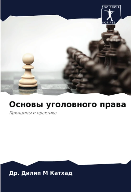 Основы уголовного права: Принципы и практика: Principy i praktika
