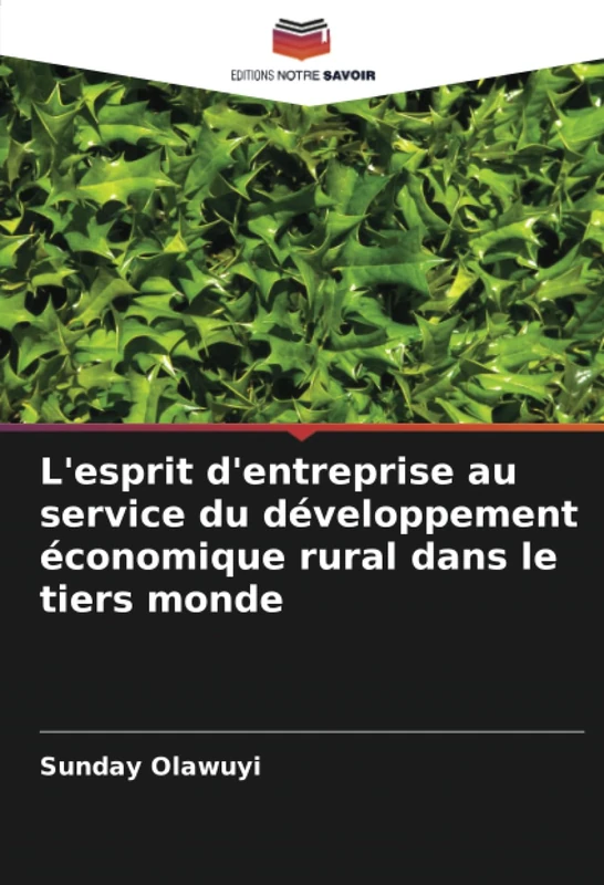 L'esprit d'entreprise au service du développement économique rural dans le tiers monde