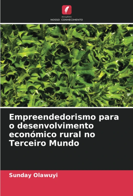 Empreendedorismo para o desenvolvimento económico rural no Terceiro Mundo