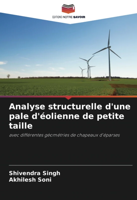 Analyse structurelle d'une pale d'éolienne de petite taille: avec différentes géométries de chapeaux d'éparses