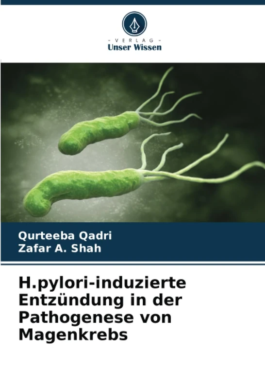H.pylori-induzierte Entzündung in der Pathogenese von Magenkrebs