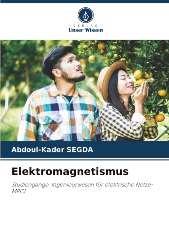 Elektromagnetismus: Studiengänge: Ingenieurwesen für elektrische Netze-MPCI