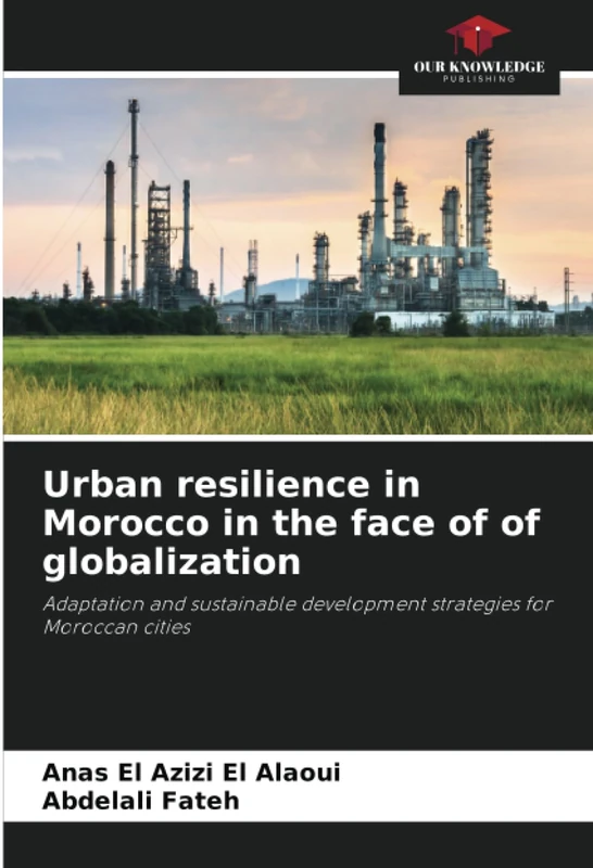 Urban resilience in Morocco in the face of of globalization: Adaptation and sustainable development strategies for Moroccan cities