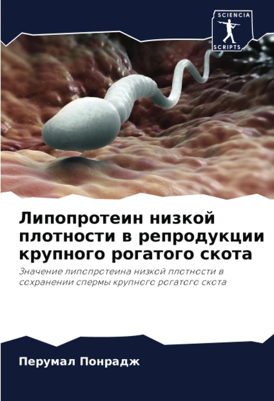 Липопротеин низкой плотности в репродукции крупного рогатого скота: Значение липопротеина низкой плотности в сохранении спермы крупного рогатого ... w sohranenii spermy krupnogo rogatogo skota