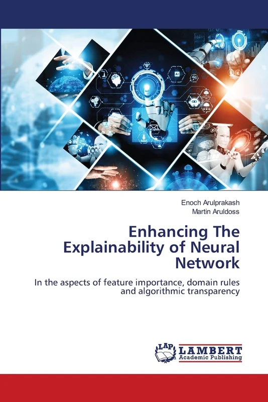 Enhancing The Explainability of Neural Network: In the aspects of feature importance, domain rules and algorithmic transparency