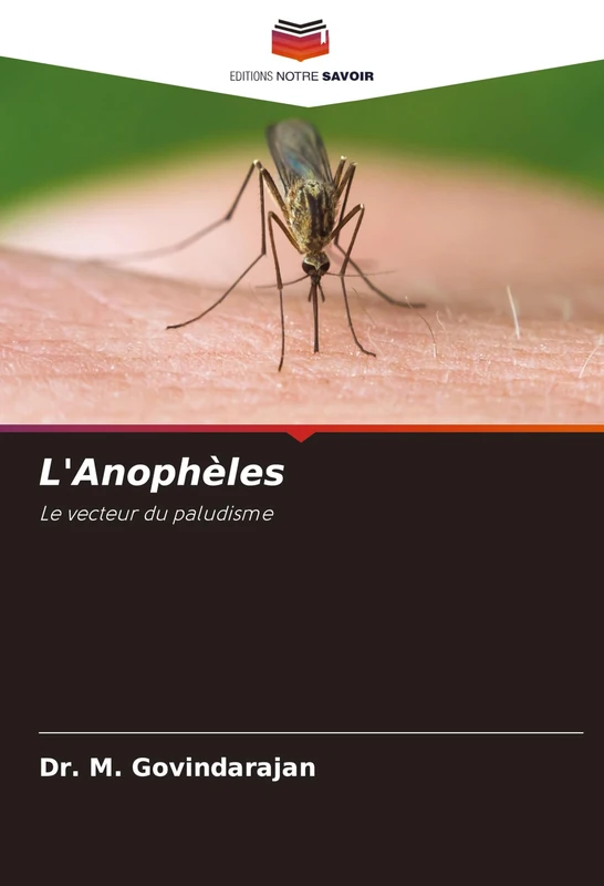 L'Anophèles: Le vecteur du paludisme