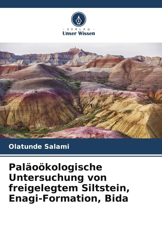 Paläoökologische Untersuchung von freigelegtem Siltstein, Enagi-Formation, Bida - Image 1