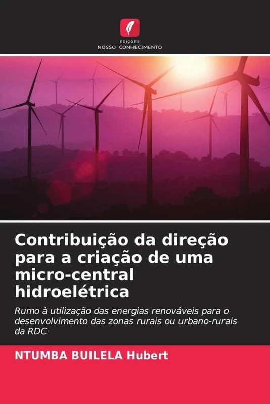 Contribuição da direção para a criação de uma micro-central hidroelétrica: Rumo à utilização das energias renováveis para o desenvolvimento das zonas rurais ou urbano-rurais da RDC - Image 1