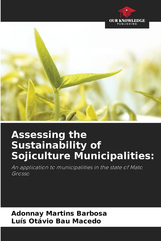 Assessing the Sustainability of Sojiculture Municipalities:: An application to municipalities in the state of Mato Grosso