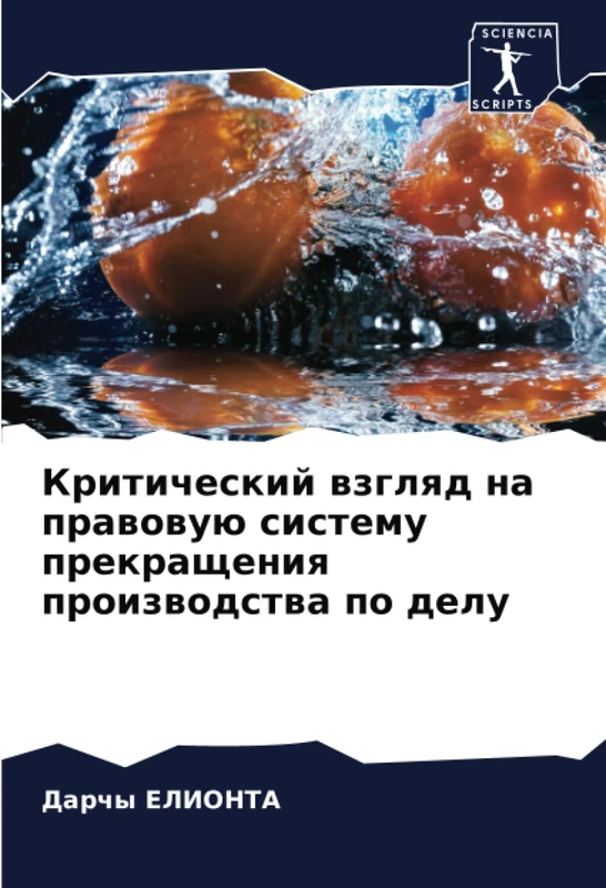 Критический взгляд на правовую систему прекращения производства по делу