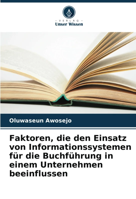 Faktoren, die den Einsatz von Informationssystemen für die Buchführung in einem Unternehmen beeinflussen