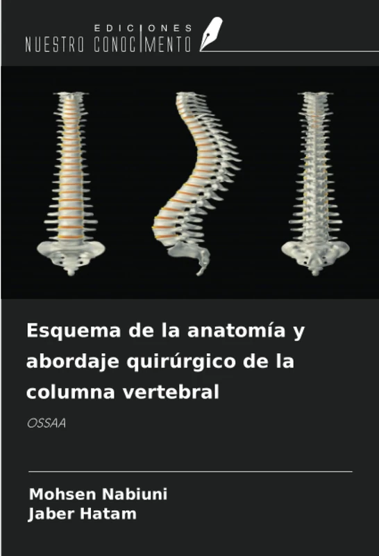 Esquema de la anatomía y abordaje quirúrgico de la columna vertebral: OSSAA
