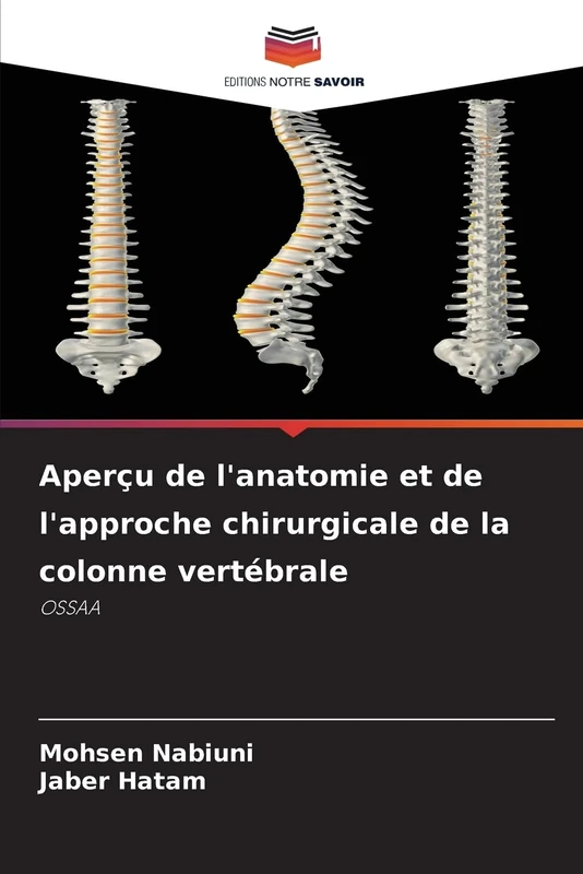 Aperçu de l'anatomie et de l'approche chirurgicale de la colonne vertébrale: OSSAA - Image 1