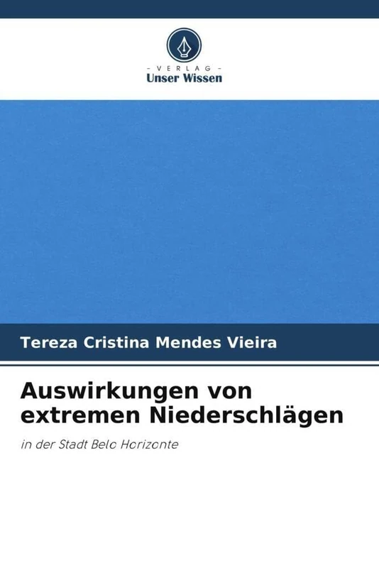 Auswirkungen von extremen Niederschlägen: in der Stadt Belo Horizonte - Image 1