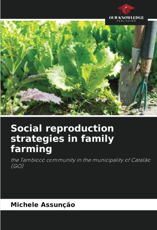 Social reproduction strategies in family farming: the Tambiocó community in the municipality of Catalão (GO)