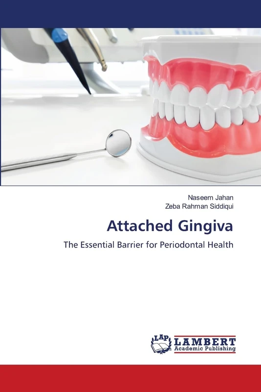 Attached Gingiva: The Essential Barrier for Periodontal Health - Image 1