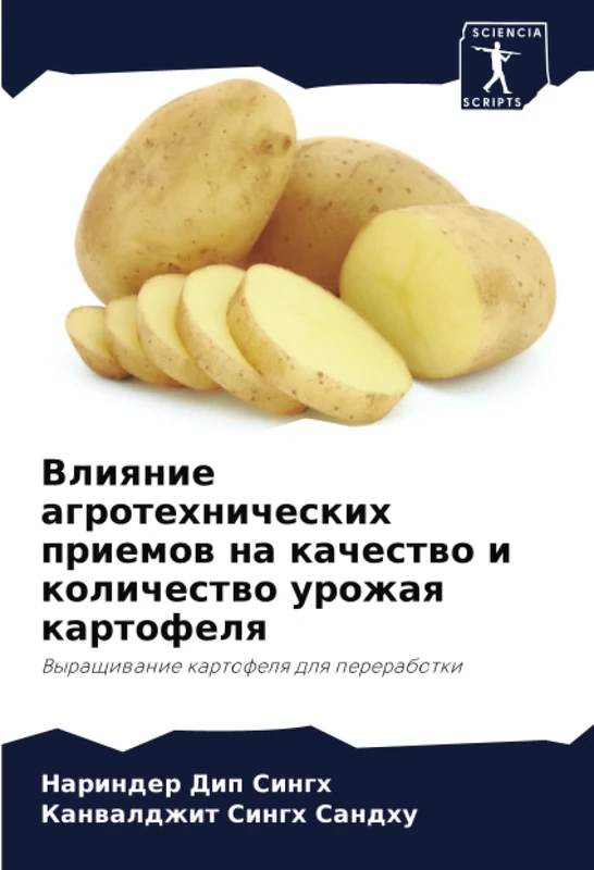 Влияние агротехнических приемов на качество и количество урожая картофеля: Выращивание картофеля для переработки: Vyraschiwanie kartofelq dlq pererabotki