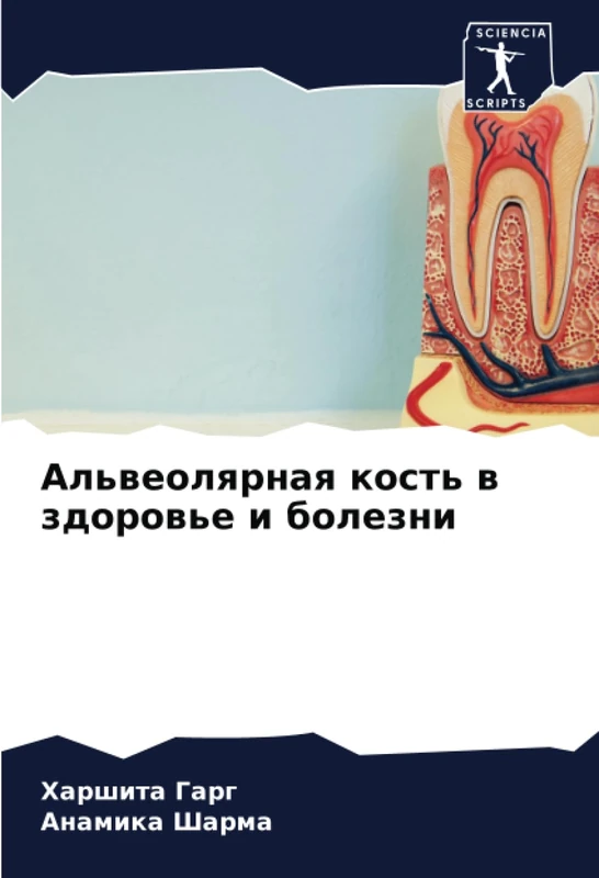 Альвеолярная кость в здоровье и болезни - Image 1