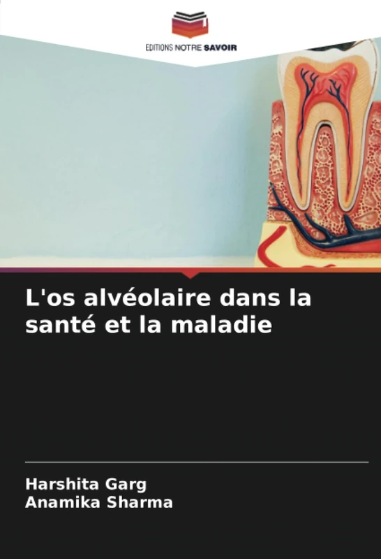 L'os alvéolaire dans la santé et la maladie