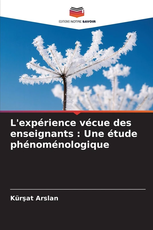 L'expérience vécue des enseignants : Une étude phénoménologique - Image 1