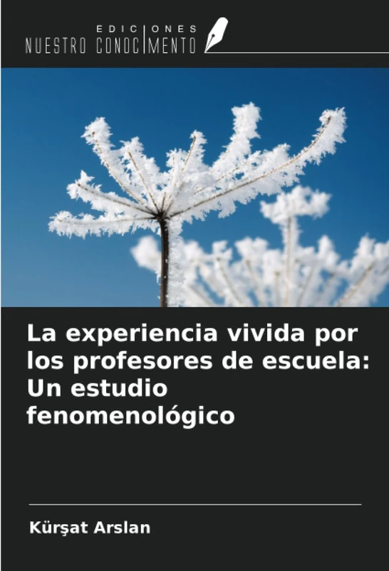 La experiencia vivida por los profesores de escuela: Un estudio fenomenológico - Image 1