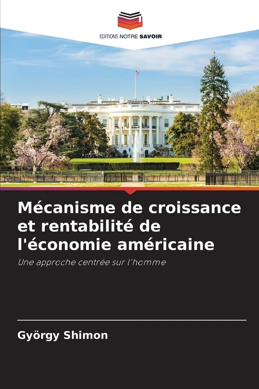 Mécanisme de croissance et rentabilité de l'économie américaine: Une approche centrée sur l'homme