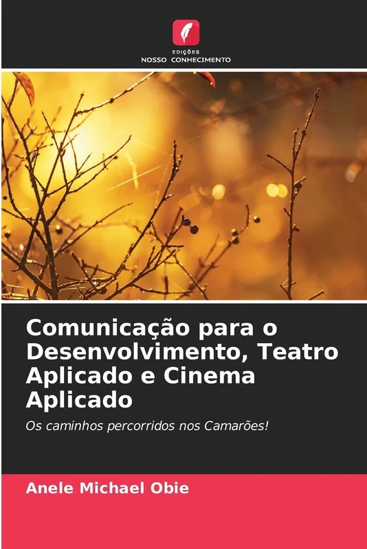 Comunicação para o Desenvolvimento, Teatro Aplicado e Cinema Aplicado: Os caminhos percorridos nos Camarões!