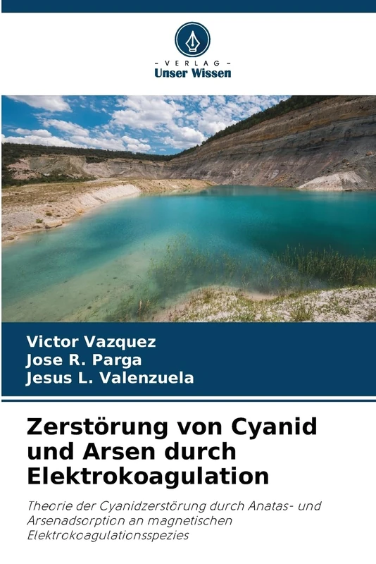 Zerstörung von Cyanid und Arsen durch Elektrokoagulation: Theorie der Cyanidzerstörung durch Anatas- und Arsenadsorption an magnetischen Elektrokoagulationsspezies
