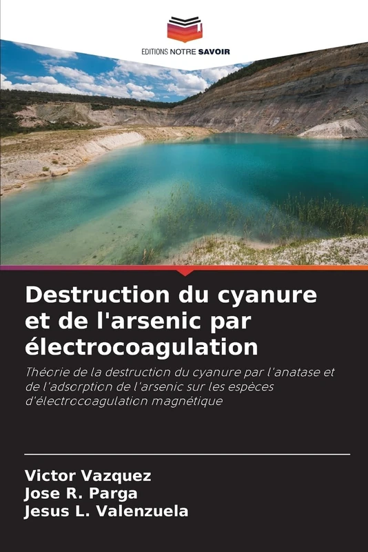 Destruction du cyanure et de l'arsenic par électrocoagulation: Théorie de la destruction du cyanure par l'anatase et de l'adsorption de l'arsenic sur les espèces d'électrocoagulation magnétique - Image 1