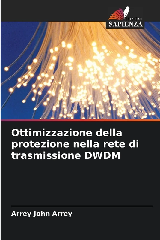 Ottimizzazione della protezione nella rete di trasmissione DWDM