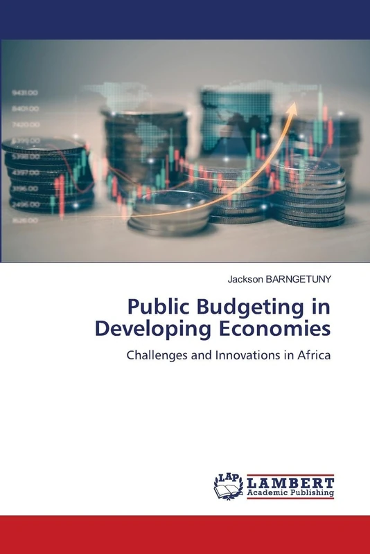 Public Budgeting in Developing Economies: Challenges and Innovations in Africa