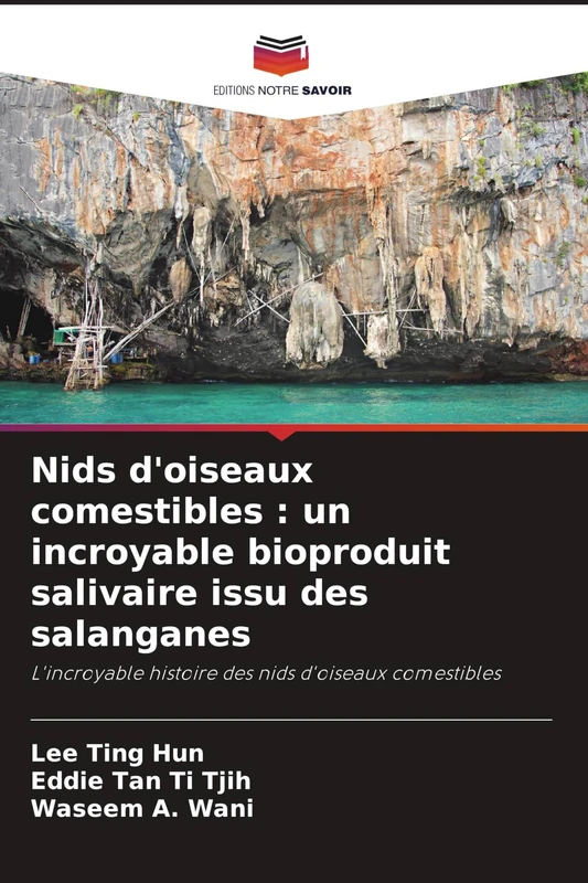 Nids d'oiseaux comestibles: un incroyable bioproduit salivaire issu des salanganes - Image 1