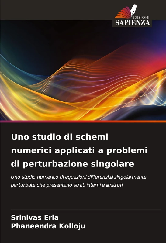 Uno studio di schemi numerici applicati a problemi di perturbazione singolare: Uno studio numerico di equazioni differenziali singolarmente perturbate che presentano strati interni e limitrofi
