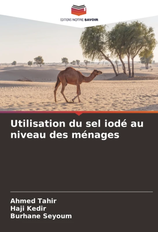 Utilisation du sel iodé au niveau des ménages - Image 1