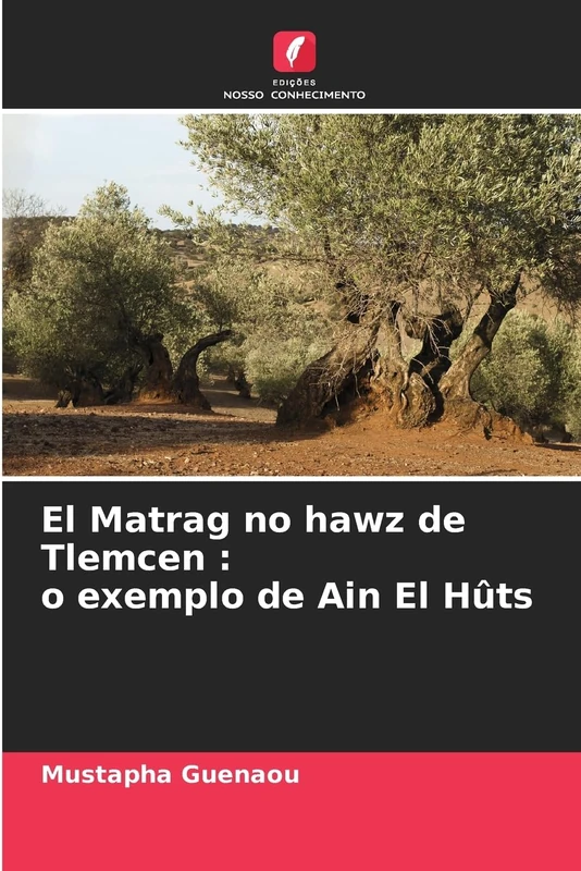 El Matrag no hawz de Tlemcen: o exemplo de Ain El Hûts