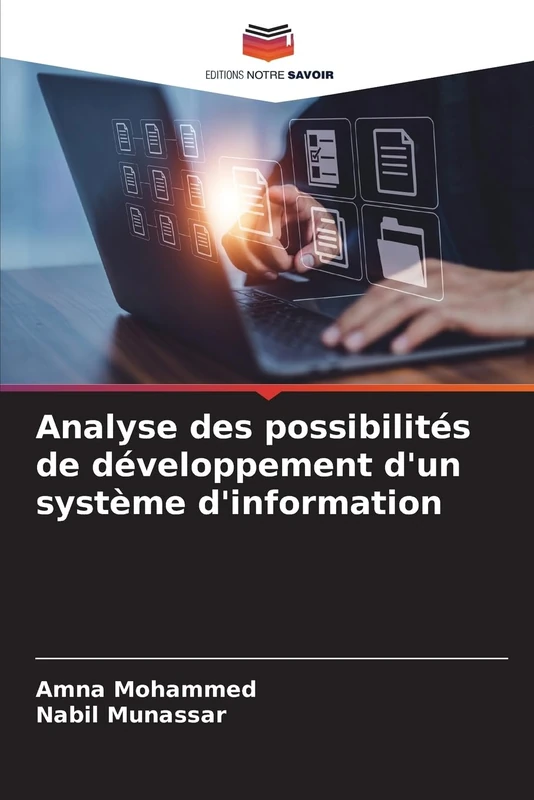 Analyse des possibilités de développement d'un système d'information - Image 1