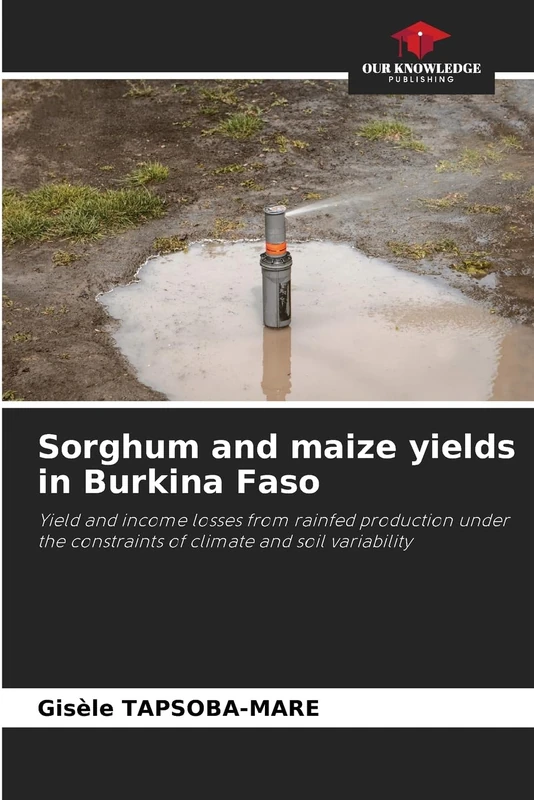 Sorghum and maize yields in Burkina Faso: Yield and income losses from rainfed production under the constraints of climate and soil variability