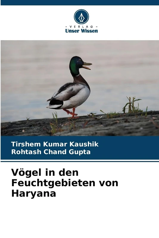 Vögel in den Feuchtgebieten von Haryana
