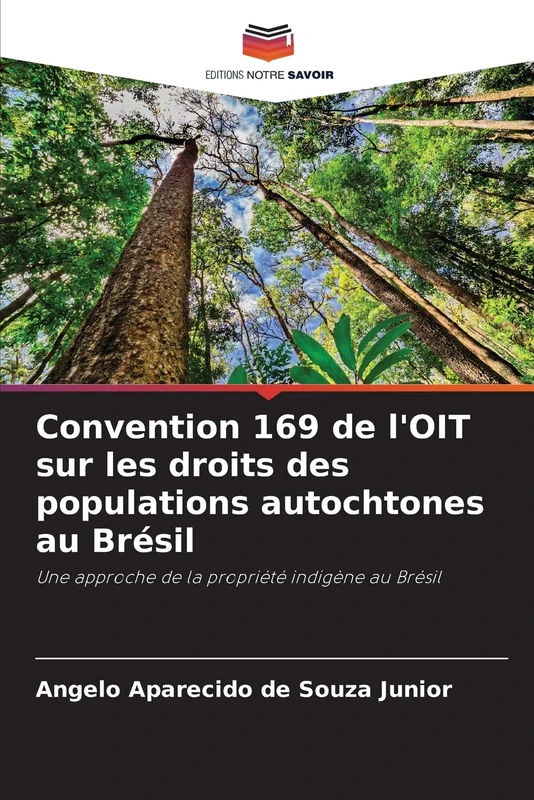 Convention 169 de l'OIT sur les droits des populations autochtones au Brésil: Une approche de la propriété indigène au Brésil
