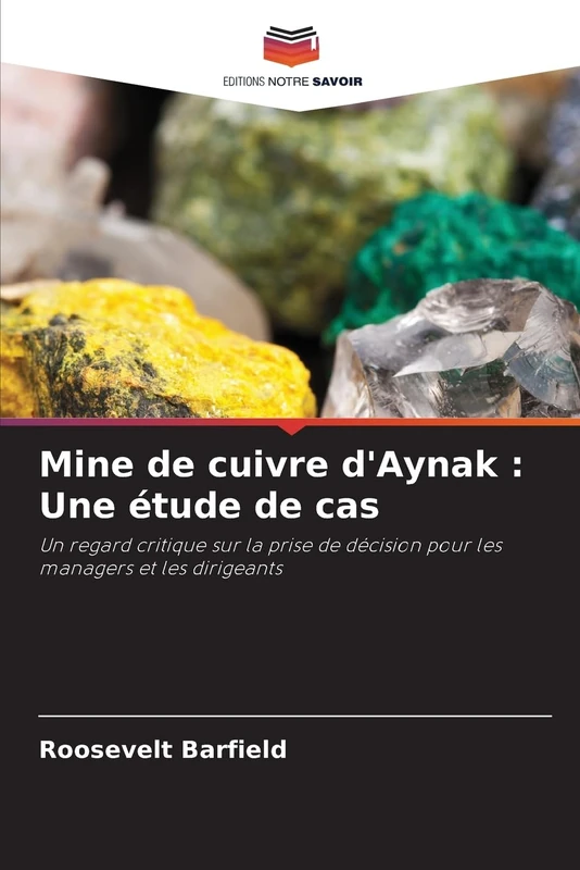 Mine de cuivre d'Aynak : Une étude de cas: Un regard critique sur la prise de décision pour les managers et les dirigeants