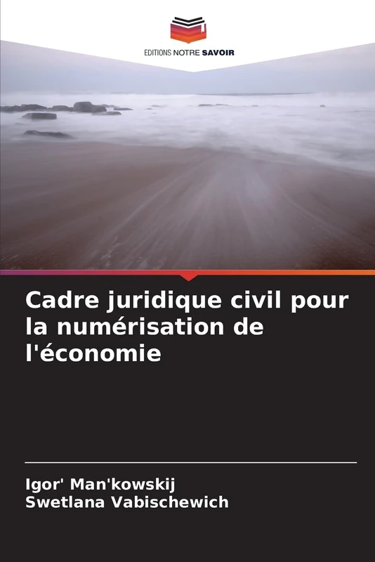 Cadre juridique civil pour la numérisation de l'économie