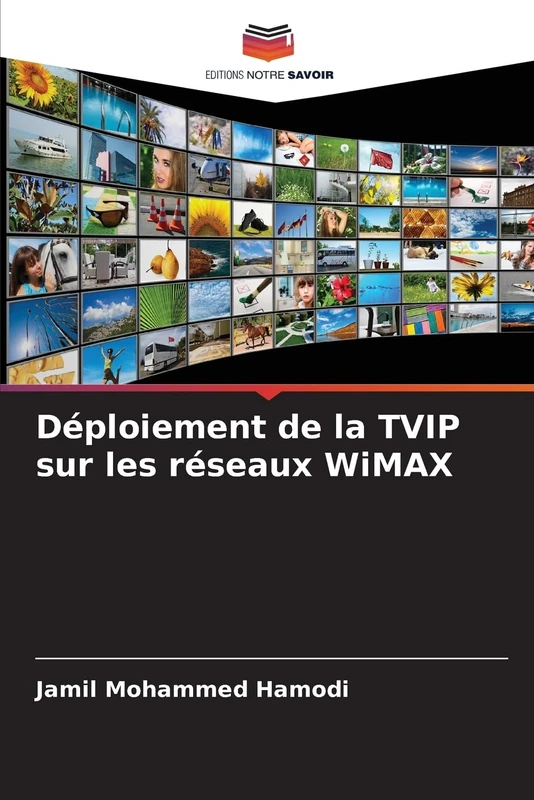 Déploiement de la TVIP sur les réseaux WiMAX - Image 1