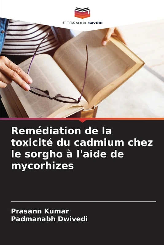 Remédiation de la toxicité du cadmium chez le sorgho à l'aide de mycorhizes - Image 1