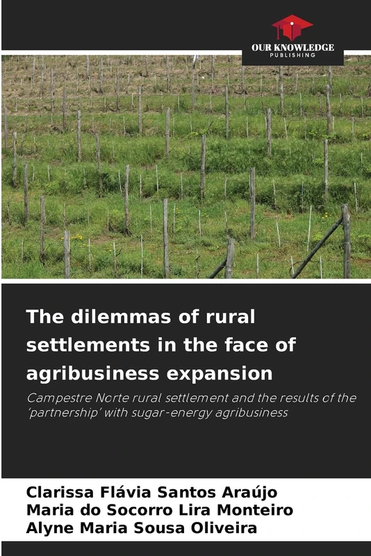 The dilemmas of rural settlements in the face of agribusiness expansion: Campestre Norte rural settlement and the results of the ‘partnership’ with sugar-energy agribusiness - Image 1