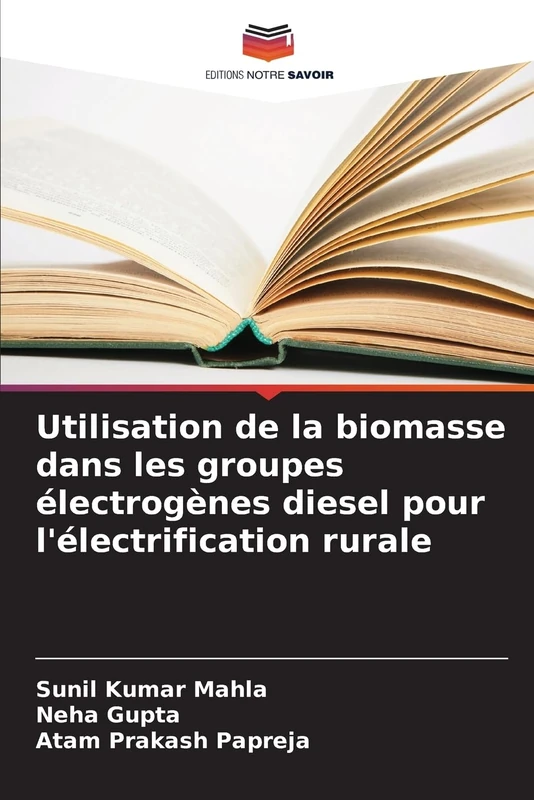 Utilisation de la biomasse dans les groupes électrogènes diesel pour l'électrification rurale