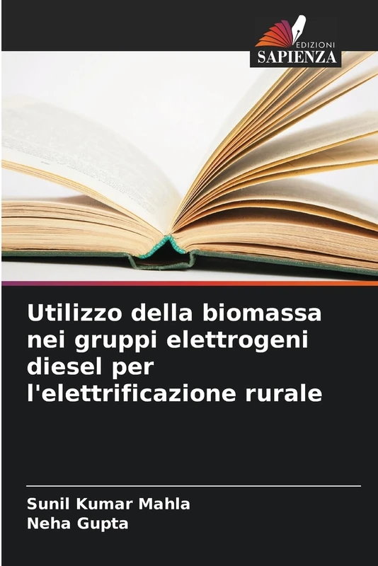 Utilizzo della biomassa nei gruppi elettrogeni diesel per l'elettrificazione rurale