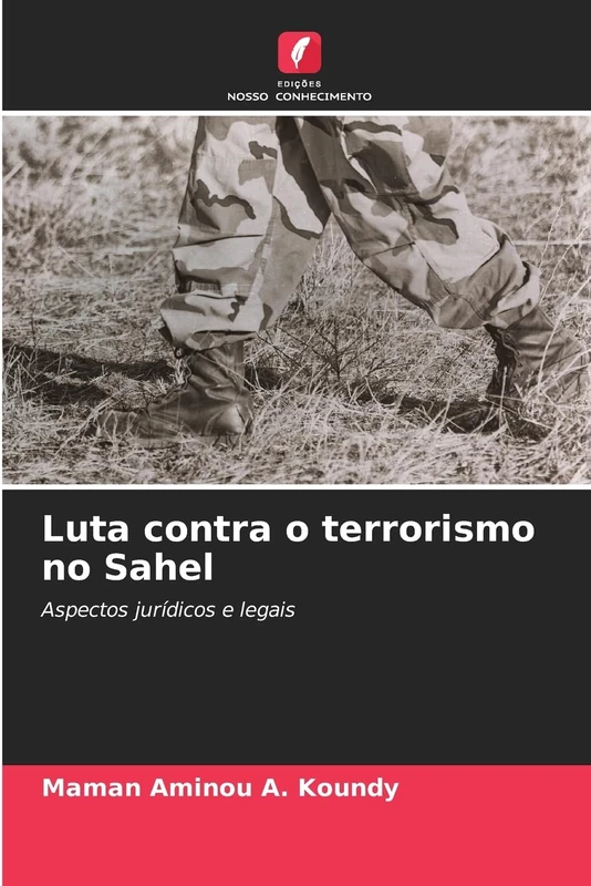 Luta contra o terrorismo no Sahel: Aspectos jurídicos e legais - Image 1