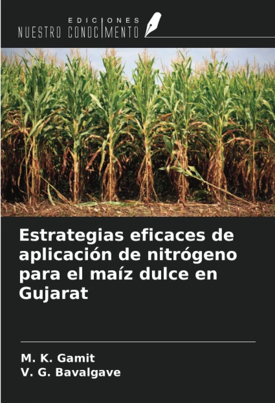 Estrategias eficaces de aplicación de nitrógeno para el maíz dulce en Gujarat