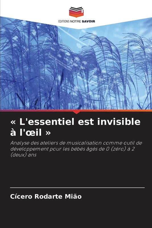 « L'essentiel est invisible à l'œil »: Analyse des ateliers de musicalisation comme outil de développement pour les bébés âgés de 0 (zéro) à 2 (deux) ans - Image 1