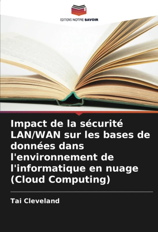 Impact de la sécurité LAN/WAN sur les bases de données dans l'environnement de l'informatique en nuage (Cloud Computing) - Image 1